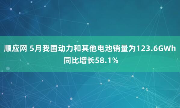 顺应网 5月我国动力和其他电池销量为123.6GWh 同比增长58.1%