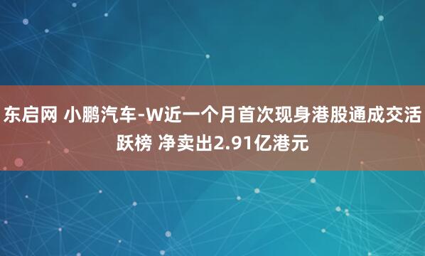 东启网 小鹏汽车-W近一个月首次现身港股通成交活跃榜 净卖出2.91亿港元