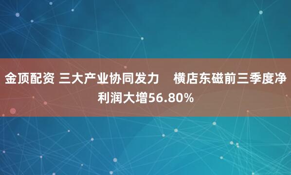 金顶配资 三大产业协同发力    横店东磁前三季度净利润大增56.80%