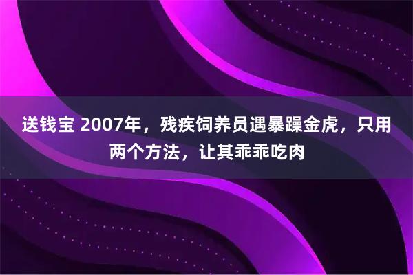 送钱宝 2007年，残疾饲养员遇暴躁金虎，只用两个方法，让其乖乖吃肉