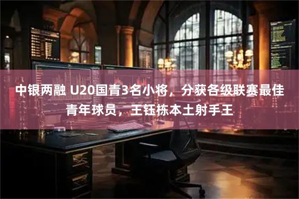 中银两融 U20国青3名小将,分获各级联赛最佳青年球员,王钰栋本土射手王