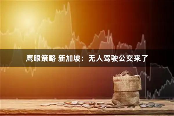 鹰眼策略 新加坡：无人驾驶公交来了